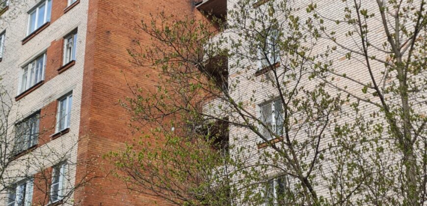 Сдается в аренду 1 к.кв. 36,7м2 на 7эт, ул. Карпинского, д.34, к.2.