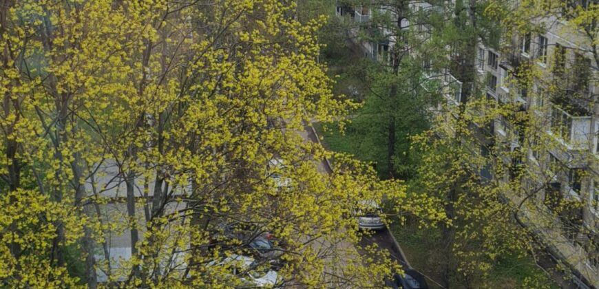 Сдается в аренду 1 к.кв. 36,7м2 на 7эт, ул. Карпинского, д.34, к.2.