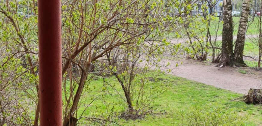 Сдается в аренду 1 к.кв. 36,7м2 на 7эт, ул. Карпинского, д.34, к.2.